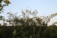 /album/kepgaleria-oszi-seta-a-vardai-hatarban/mg-9322-jpg/