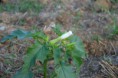 /album/kepgaleria-oszi-seta-a-vardai-hatarban/img-9369-jpg/